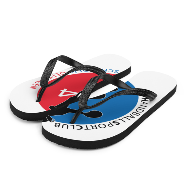 SchmOeff Flip-Flops